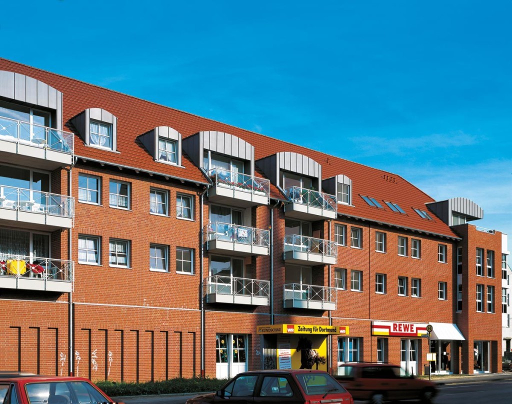 tegola-optima-1-1024x808